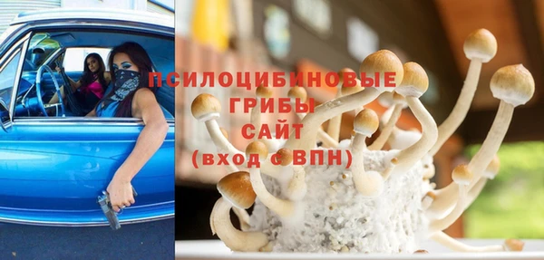 спайс Аркадак